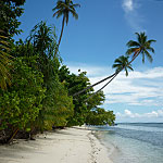 Plage déserte à Raja Ampat