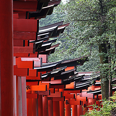 allée de Torii.