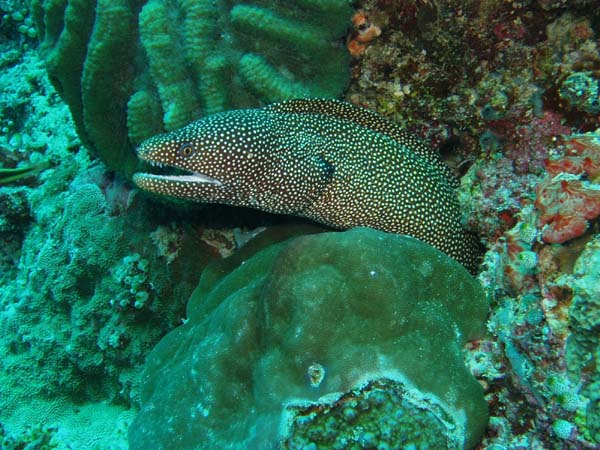P3040032