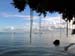 63 Togian Black Marlin