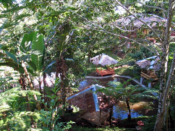 26 Tomohon Olong