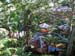 26 Tomohon Olong