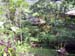 28 Tomohon Olong
