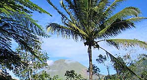 Sous le volcan.
