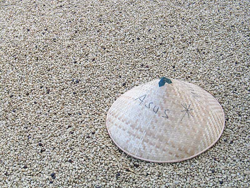 19-Chapeau Asus