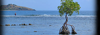 Paysage de la cote nord de Bali