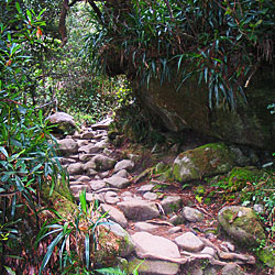 Sentier d'altitude