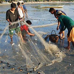 Pêche du repas du soir sur la plage de Port Barton