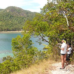 Snake island