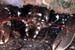 Homard
